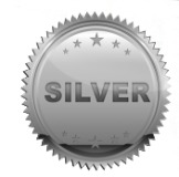 Crewel Work Hangings - Silver